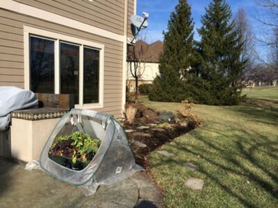 February Garden Planner Image